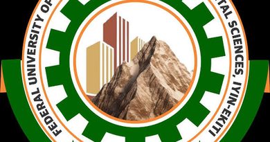 FUTE Iyin Logo